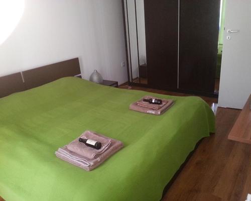 Alina' s Apartament : Appartamento con 1 Camera da Letto e Balcone